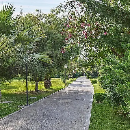 Apartmán Alessidamo Trilo *