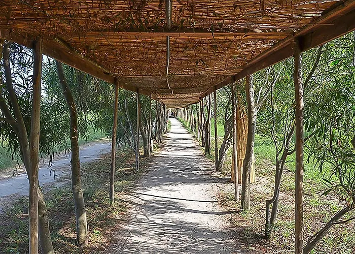 Appartement Alessidamo Trilo